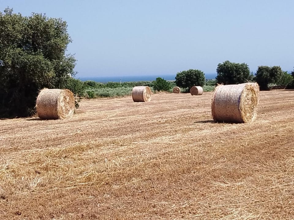 Natural landscape