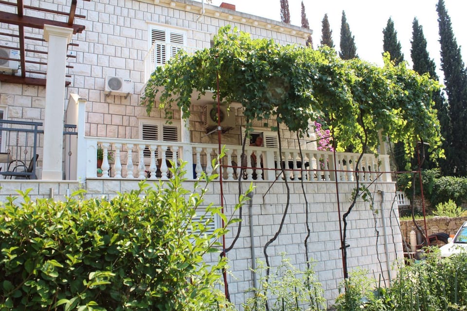 Apartment Siesta Apartment in Cavtat