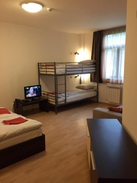 Communal lounge/ TV room, TV and multimedia, bunk bed