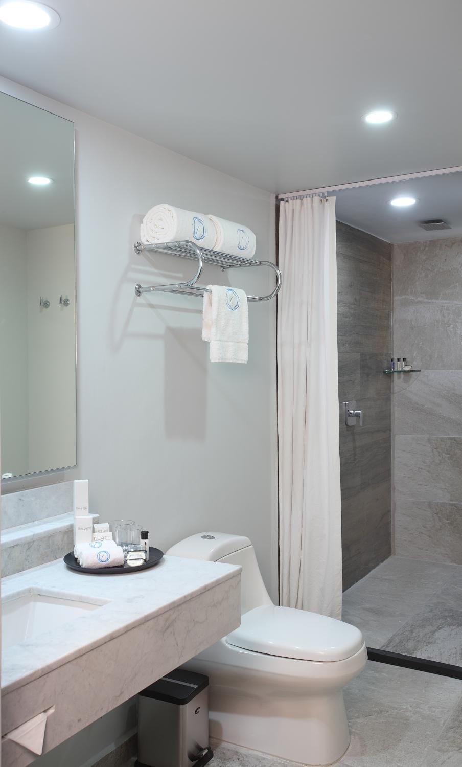 Shower, Toilet, Bathroom, towels