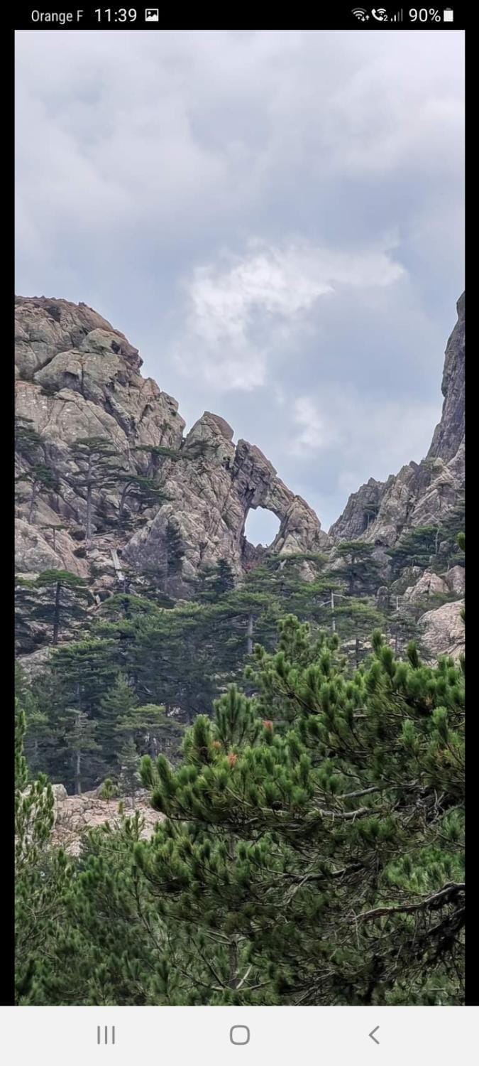 Fresi Gustave Apartment in Corsica
