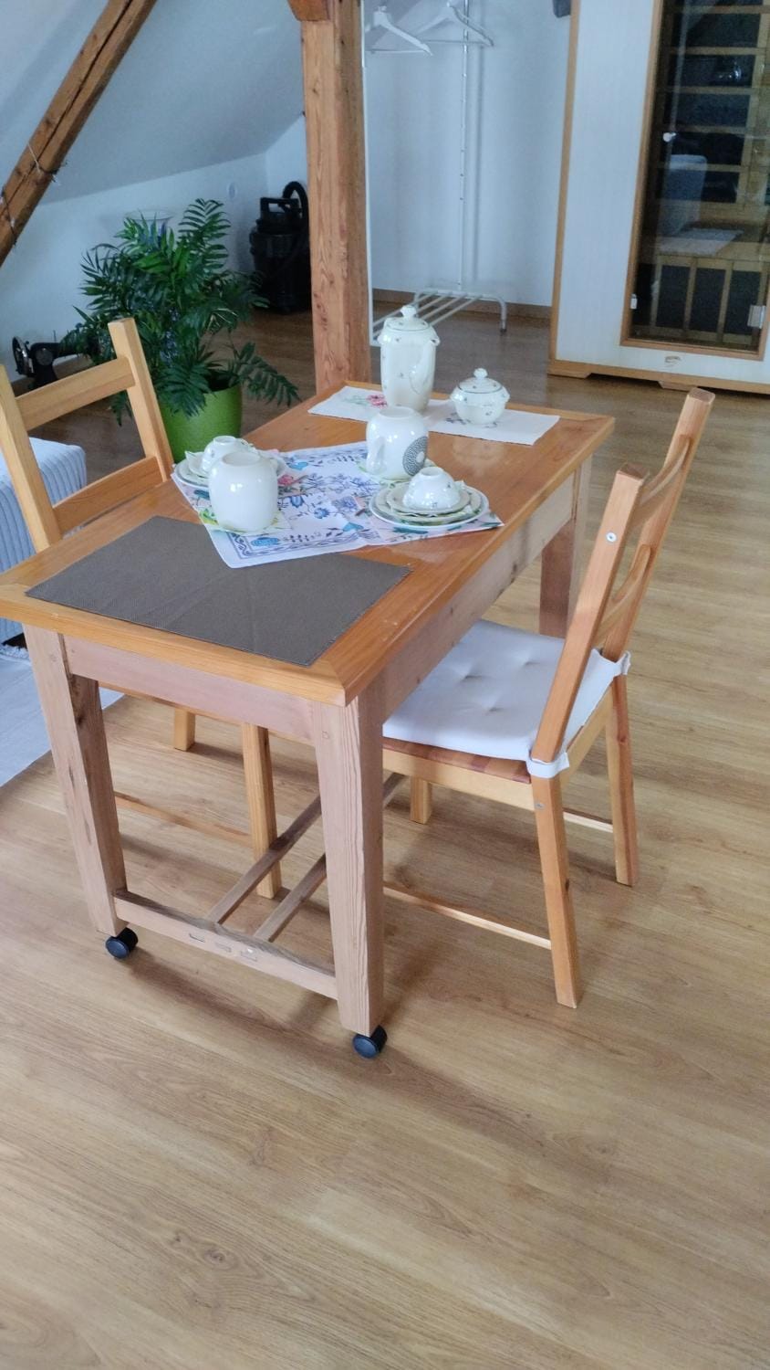 Podkroví s koupelnou Vacation rental in Saxony