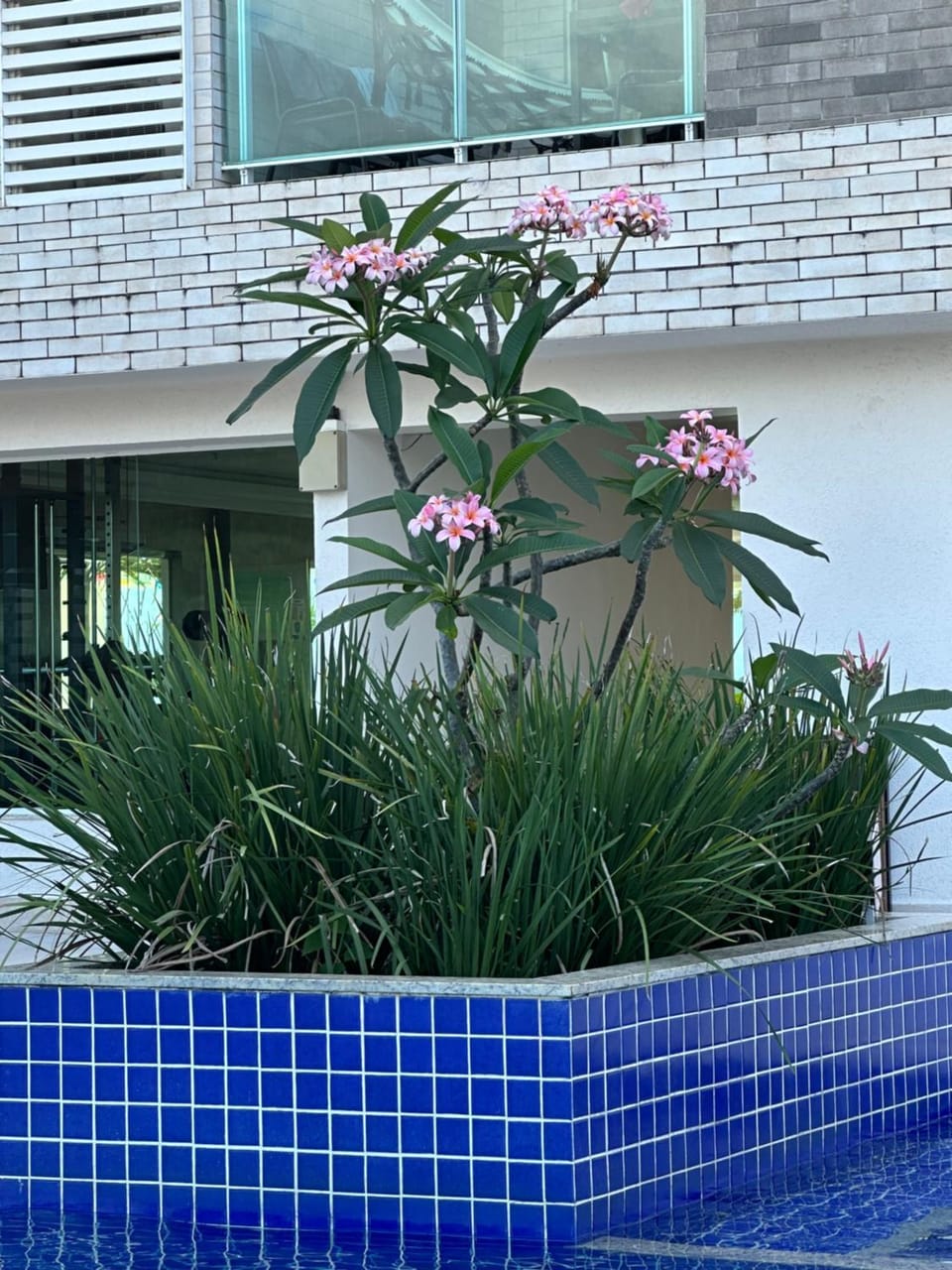 Salinas Park Resort Apartment in State of Pará