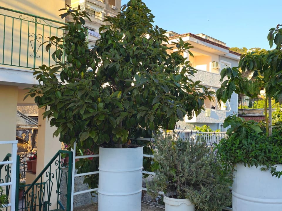 Joen Apartments Apartment in Sarandë