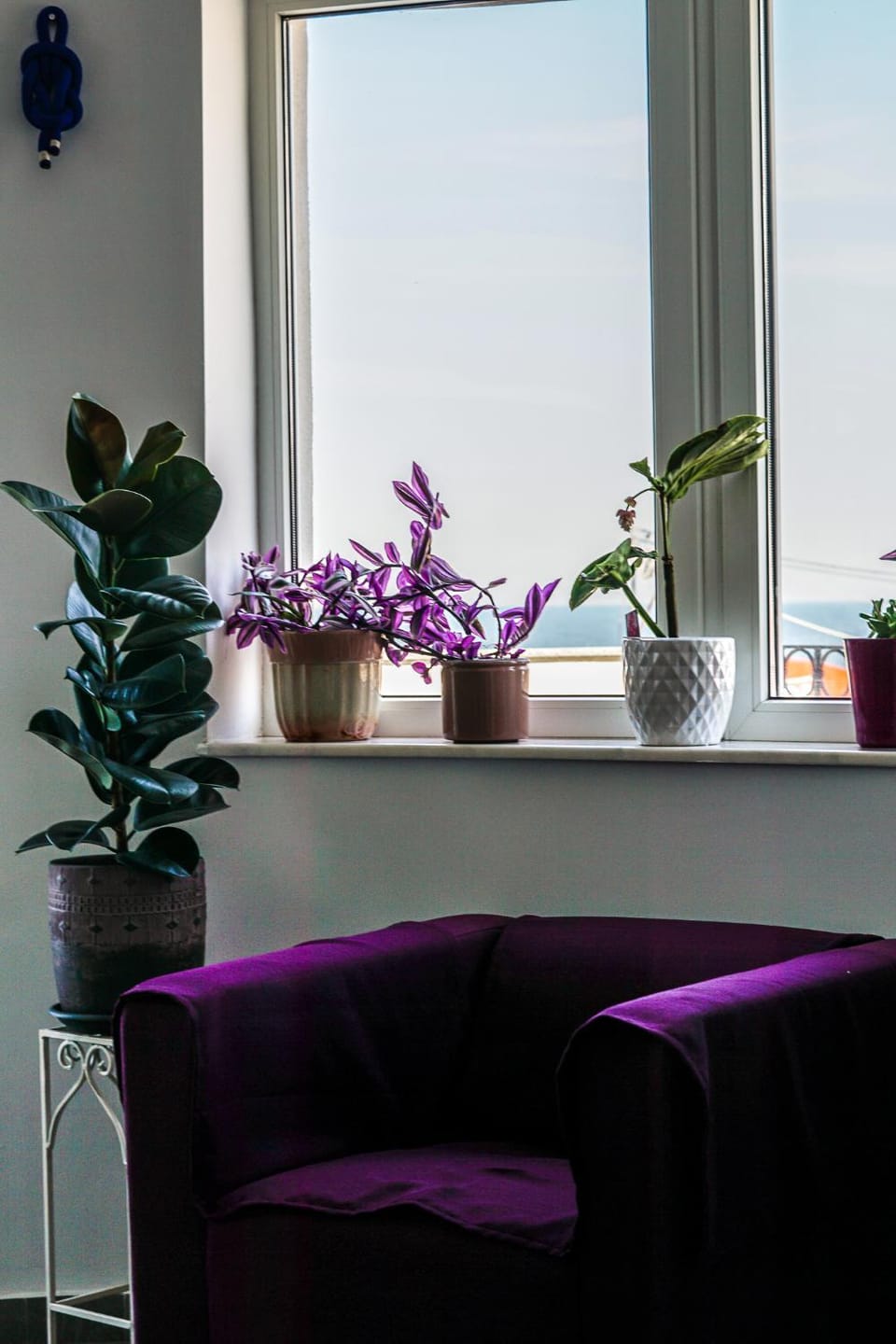 Vila Gladiola Bed and Breakfast in Eforie Nord