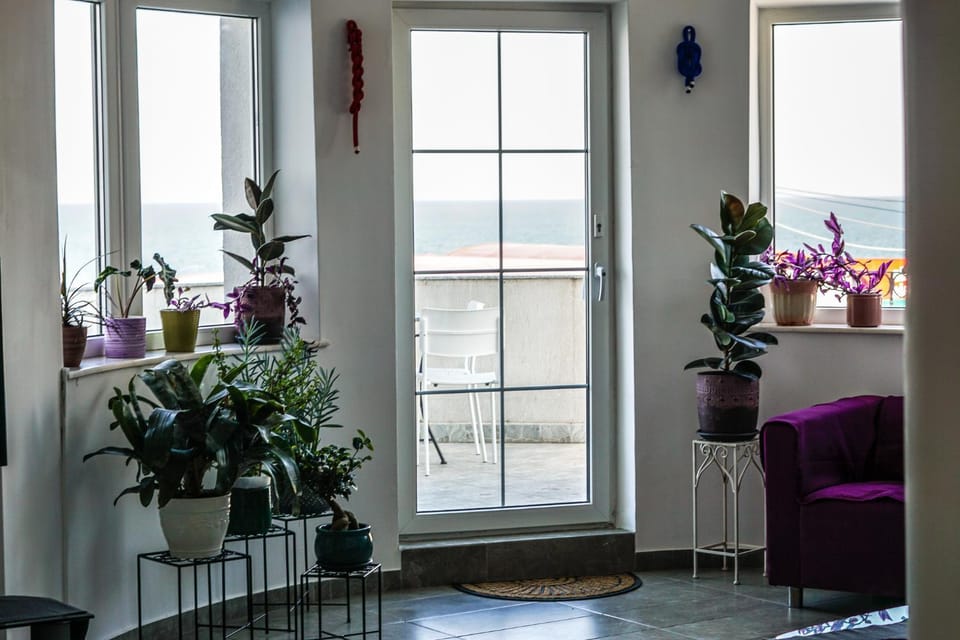 Vila Gladiola Bed and Breakfast in Eforie Nord