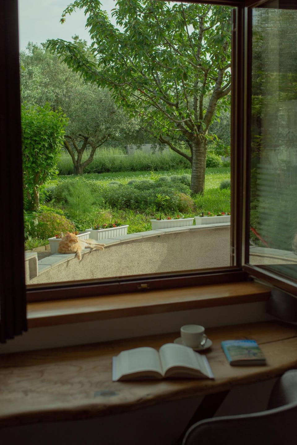 Garden view