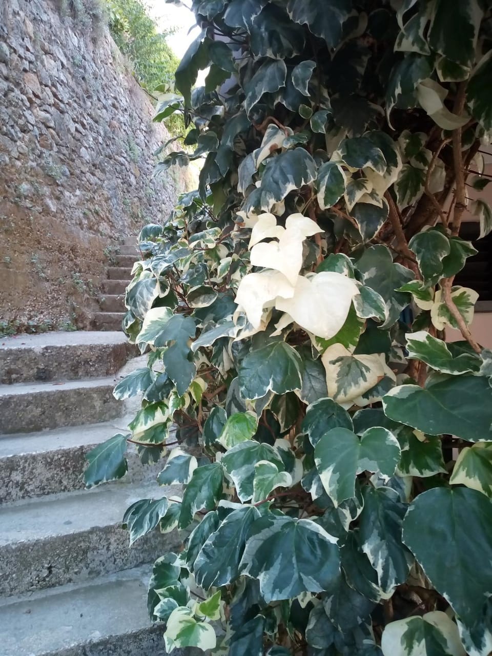 Rooms Jancic Apartment in Ulcinj