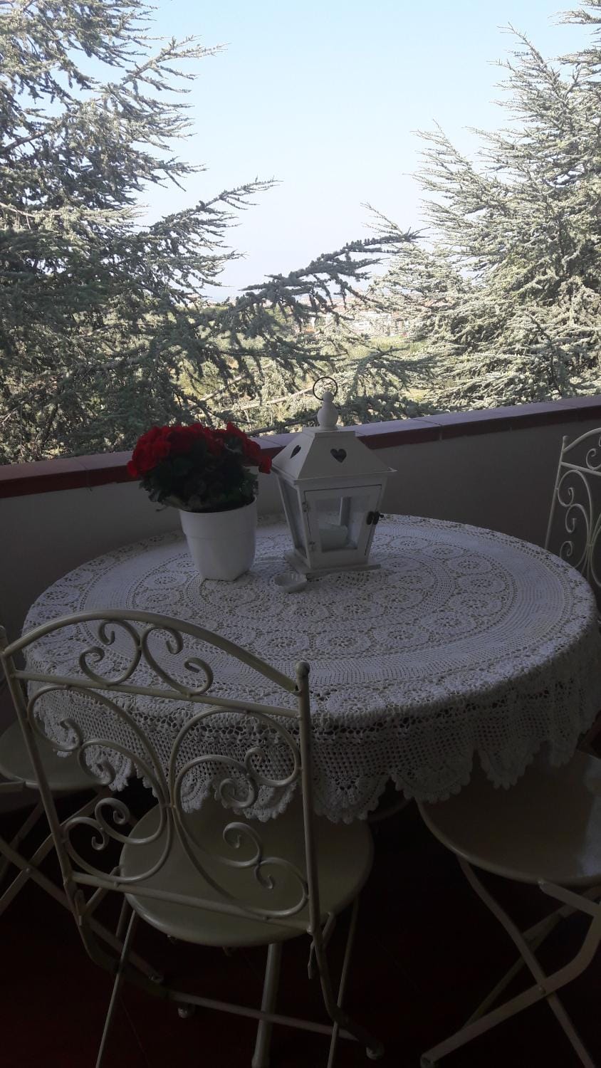 Dolci Ricordi Apartment in Livorno