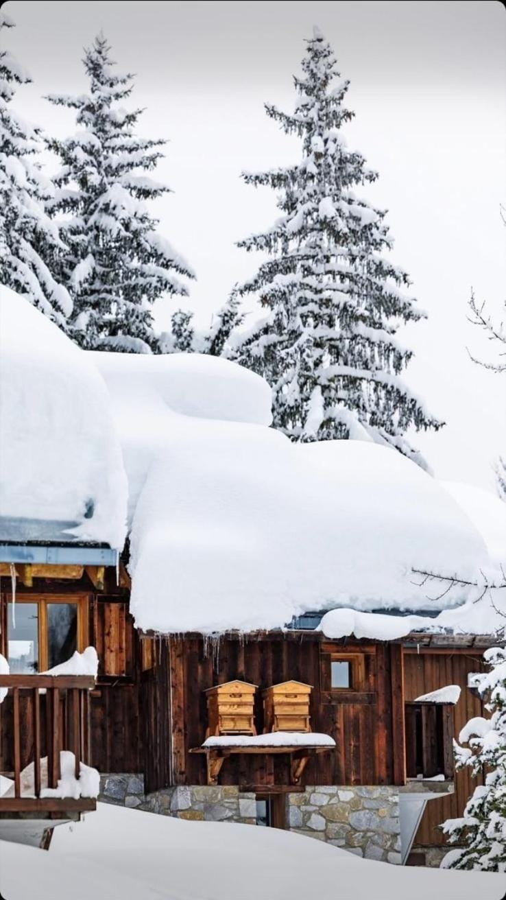 Meribel Altitude1600 chalet 6 personnes en pleine nature au milieu des pistes Chalet in Les Allues