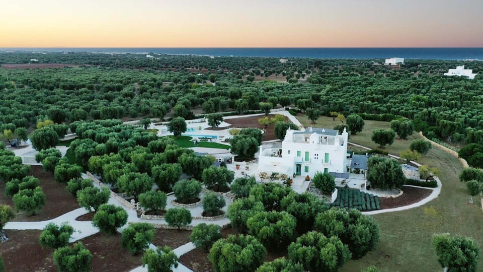 Property building, Bird's eye view
