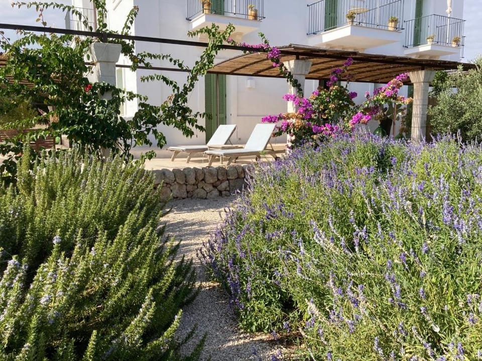 Garden, Garden view