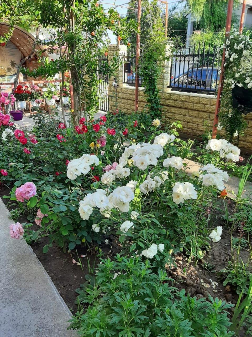 Facade/entrance, Garden