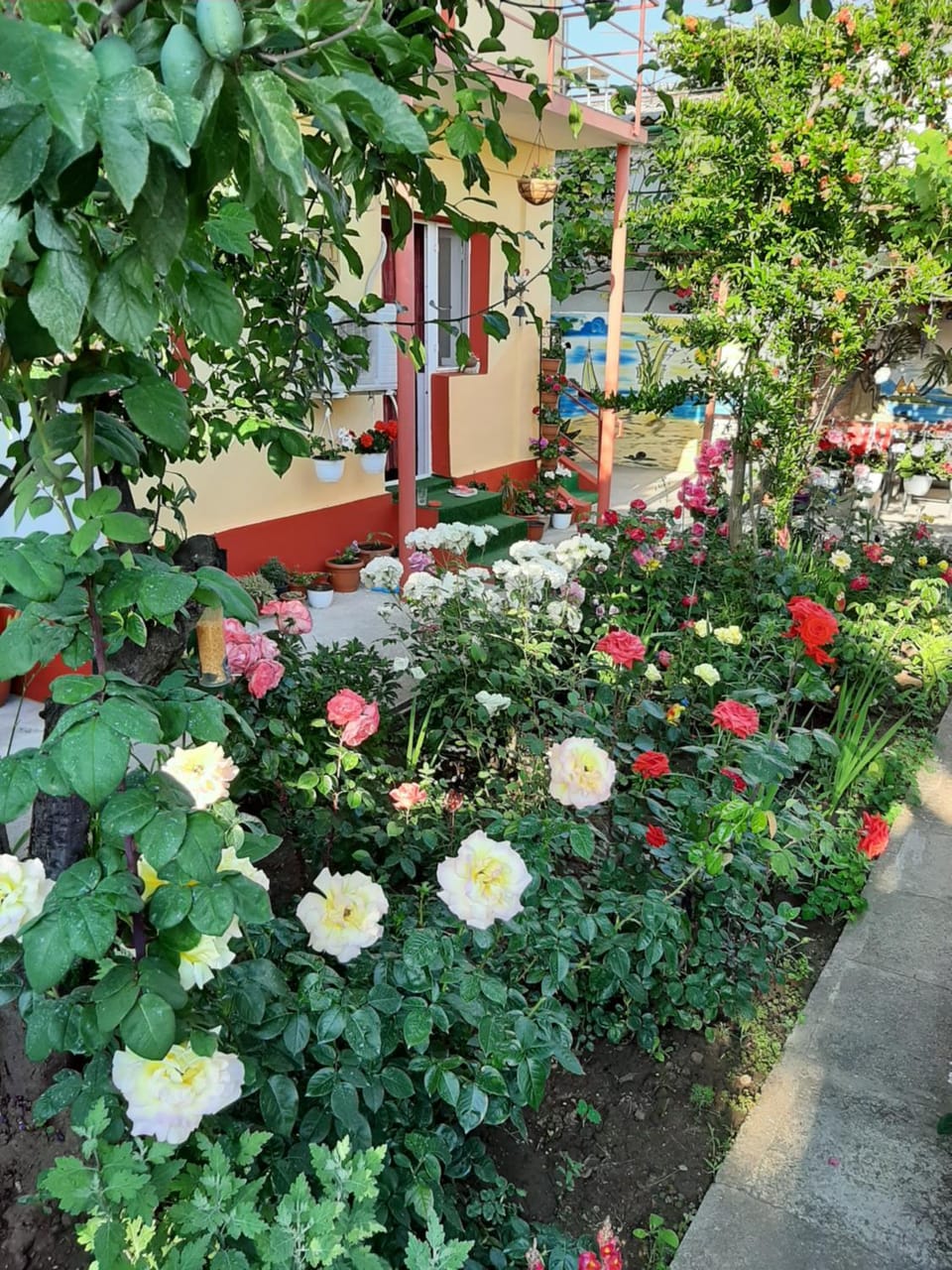 Facade/entrance, Garden, Decorative detail, On site
