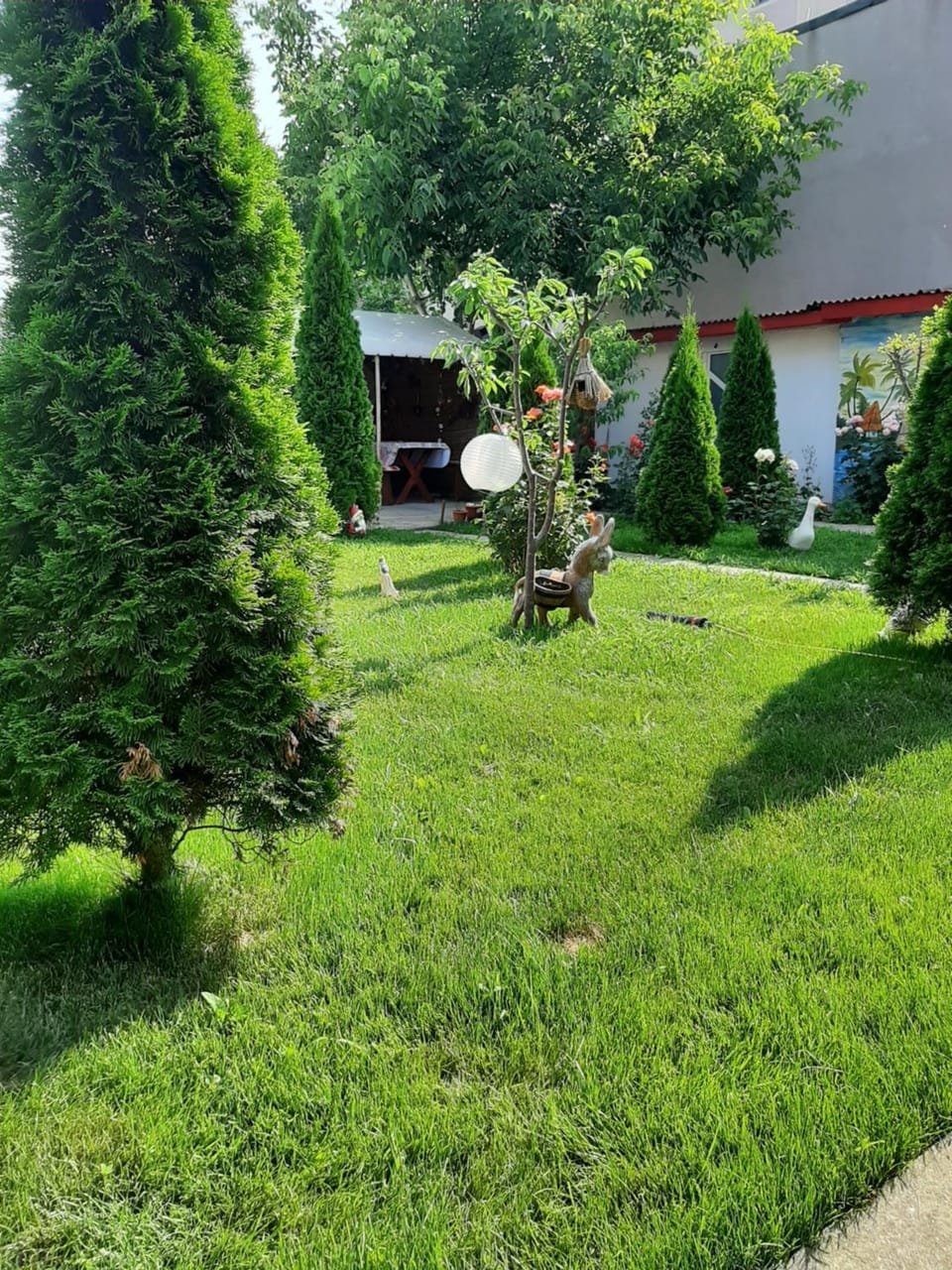Garden, Other, Garden view