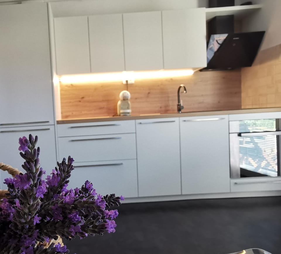 Apartmaji Ela 1 Apartment in Slovenia