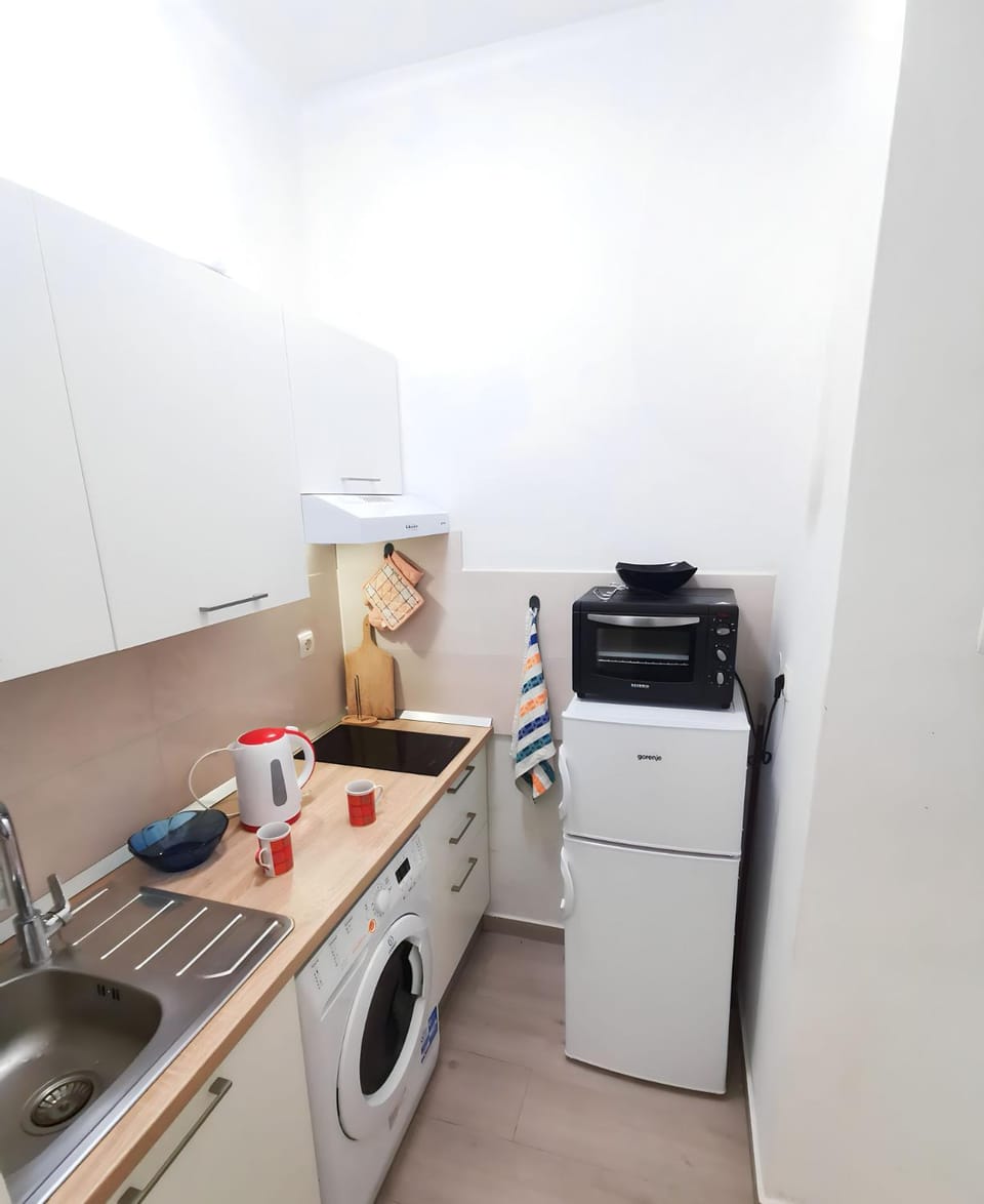 Kitchen or kitchenette, minibar, pet friendly, washing machine, kitchen
