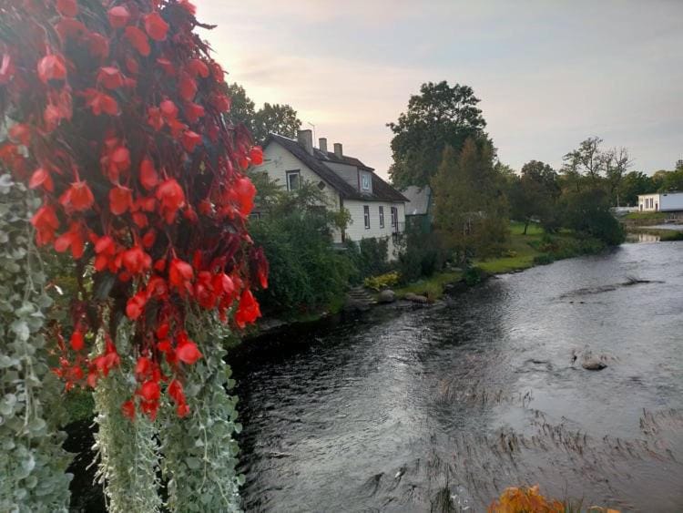Natural landscape, River view