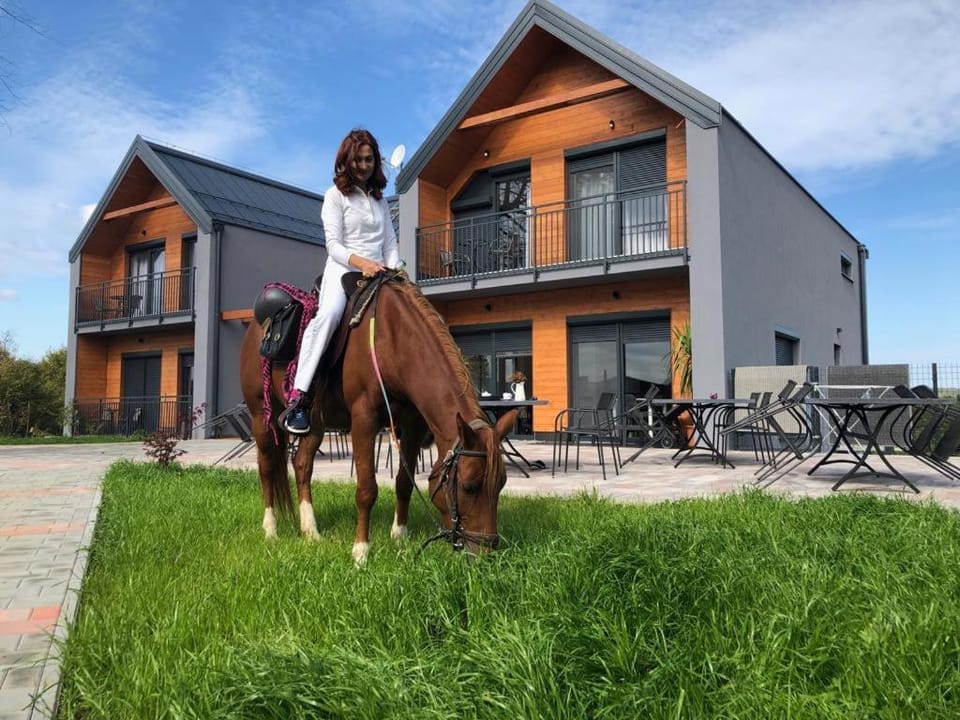 Horse-riding, Animals