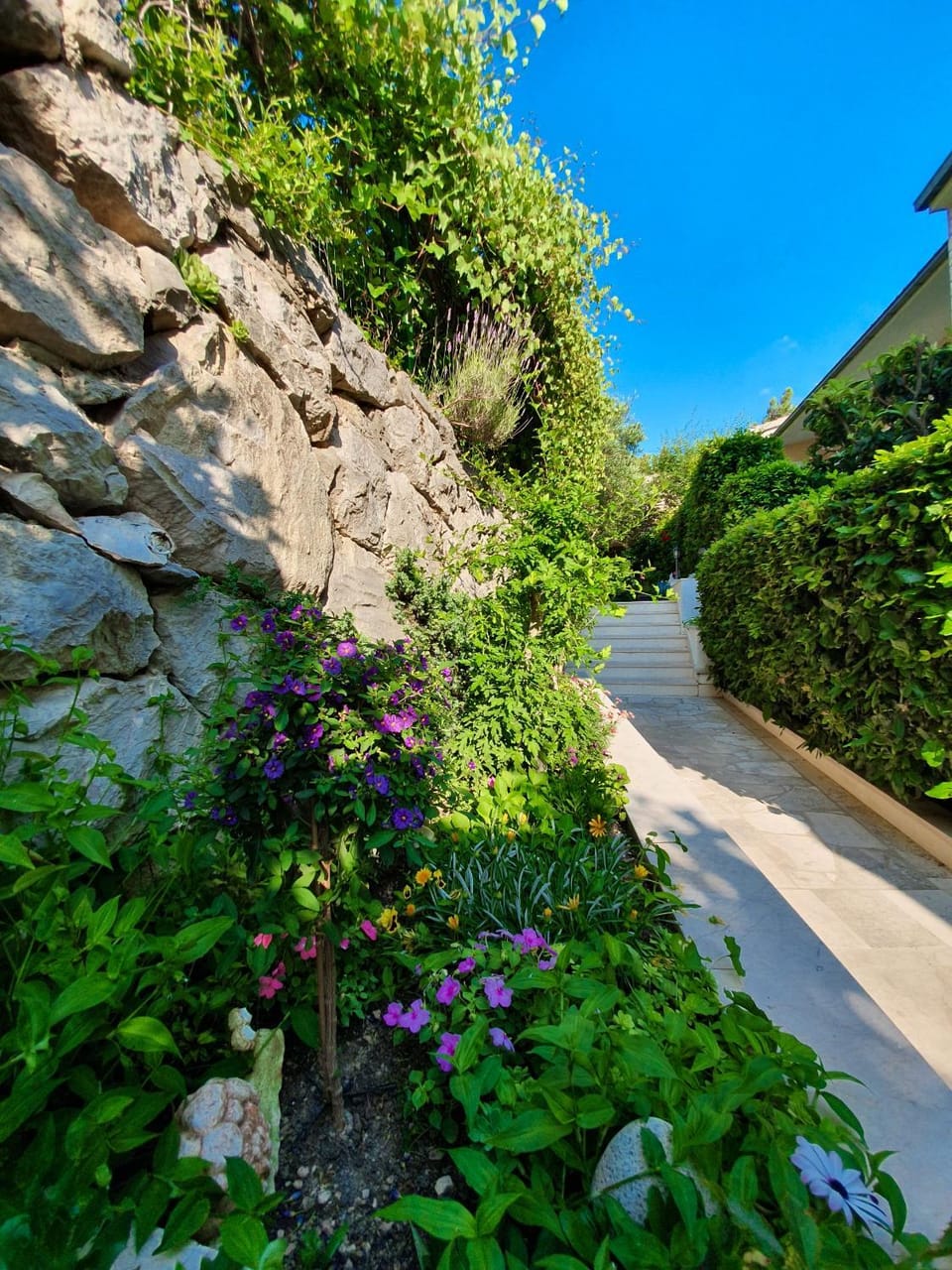 Natural landscape, Garden