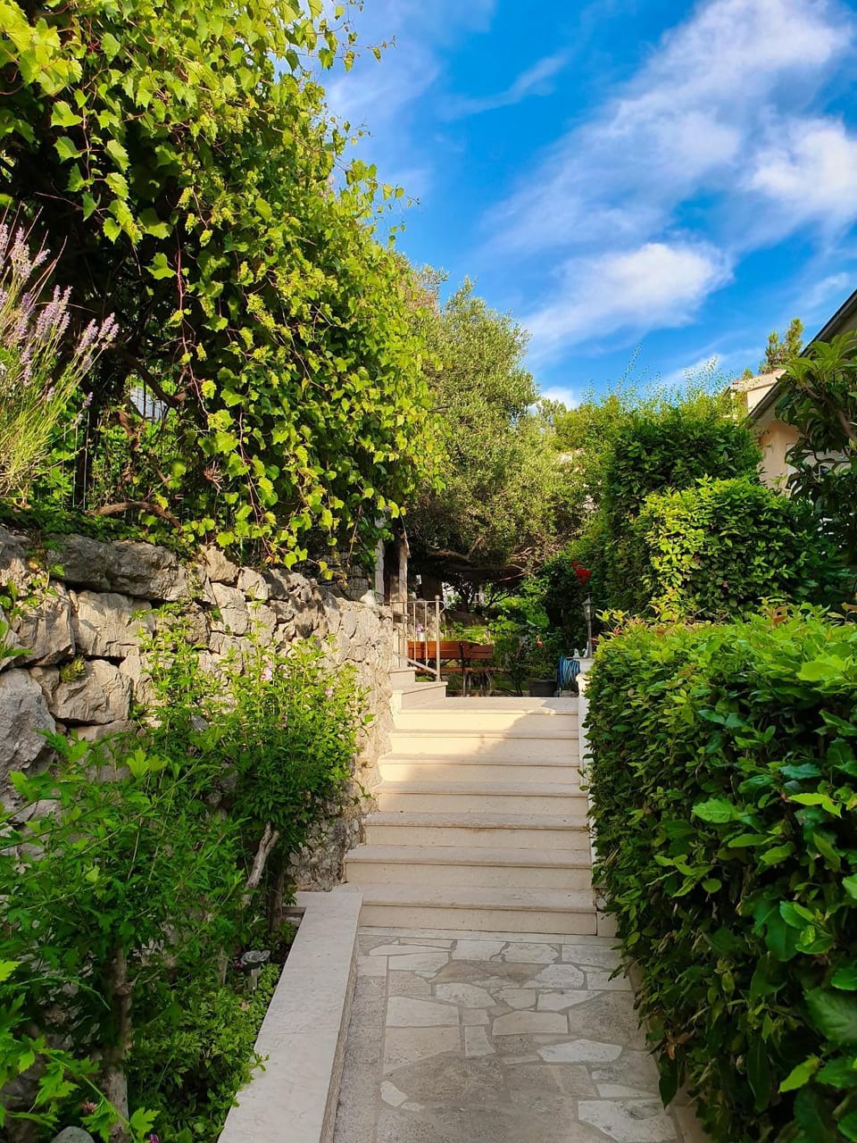 Facade/entrance, Neighbourhood, Natural landscape, Summer, Garden, On site