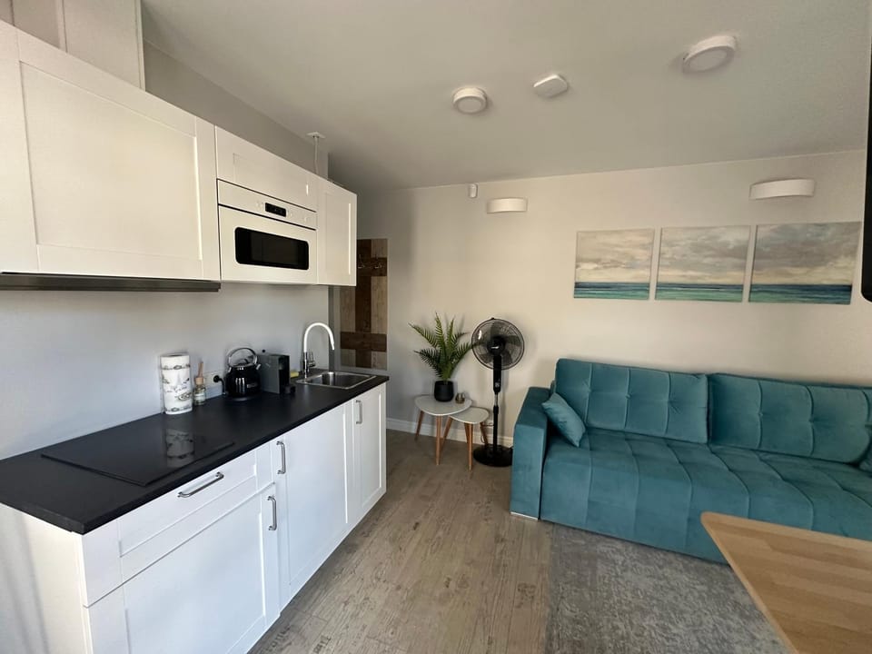 Living room, kitchen