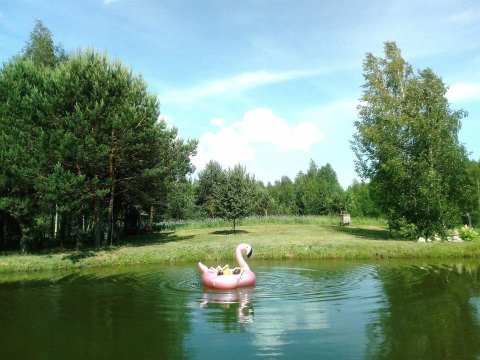 Natural landscape, Lake view