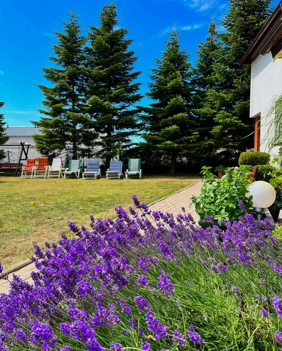 Apartamenty Ostoja Bed and Breakfast in Leba