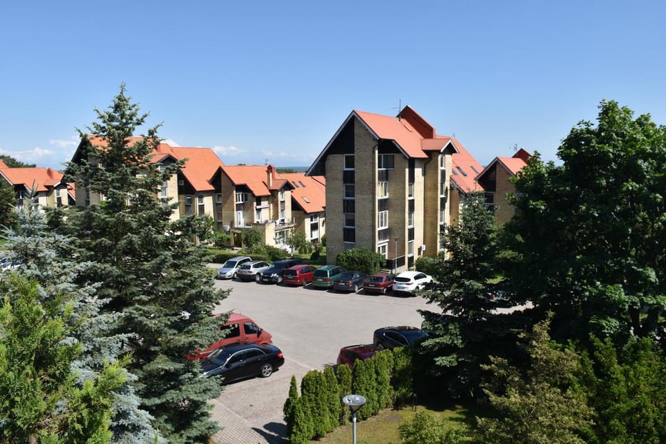 Day, Neighbourhood, Street view