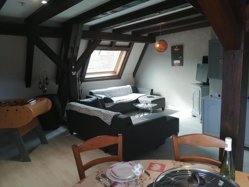 Gîte Les papillons Apartment in Ribeauvillé