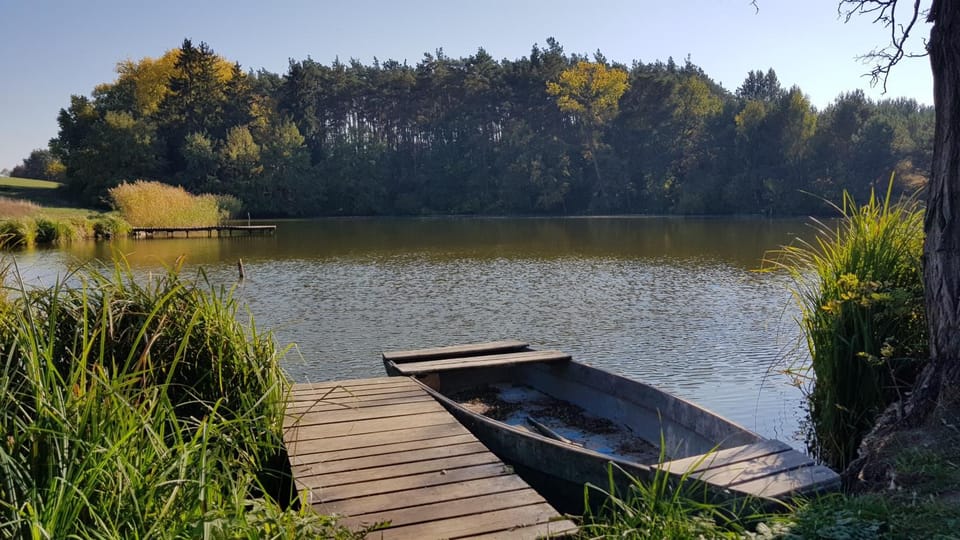 Natural landscape, Lake view