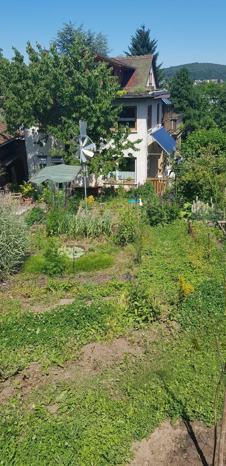 Property building, Garden