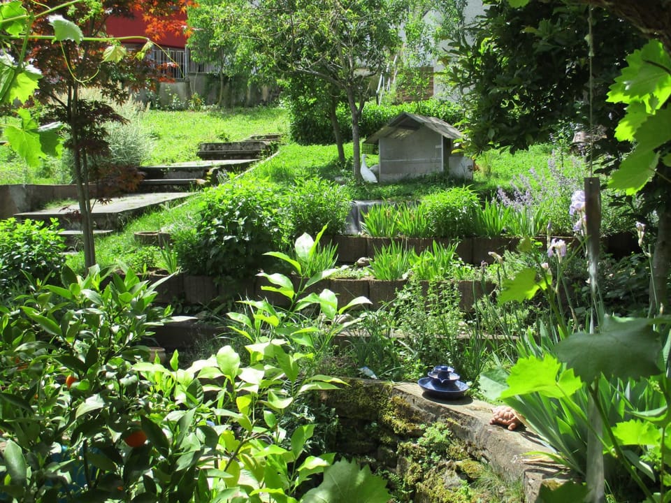 Garden, Garden view