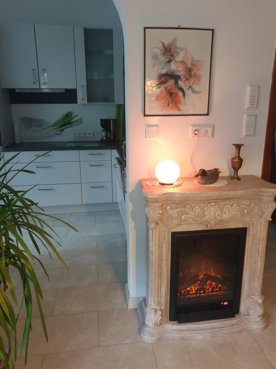 Living room, kitchen
