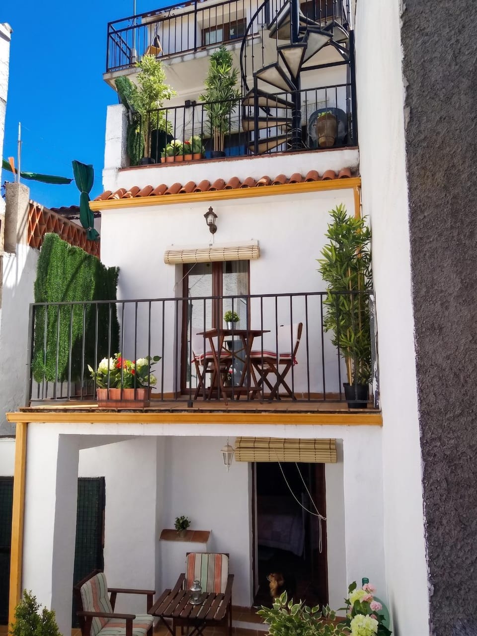 Property building