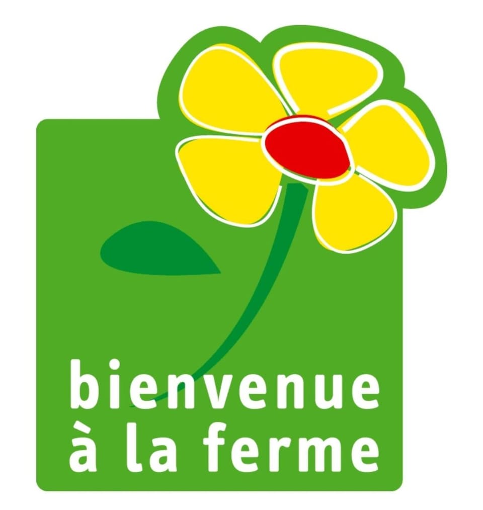 Logo/Certificate/Sign