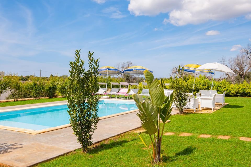 Spring, Garden, Garden view, Pool view, Swimming pool, sunbed