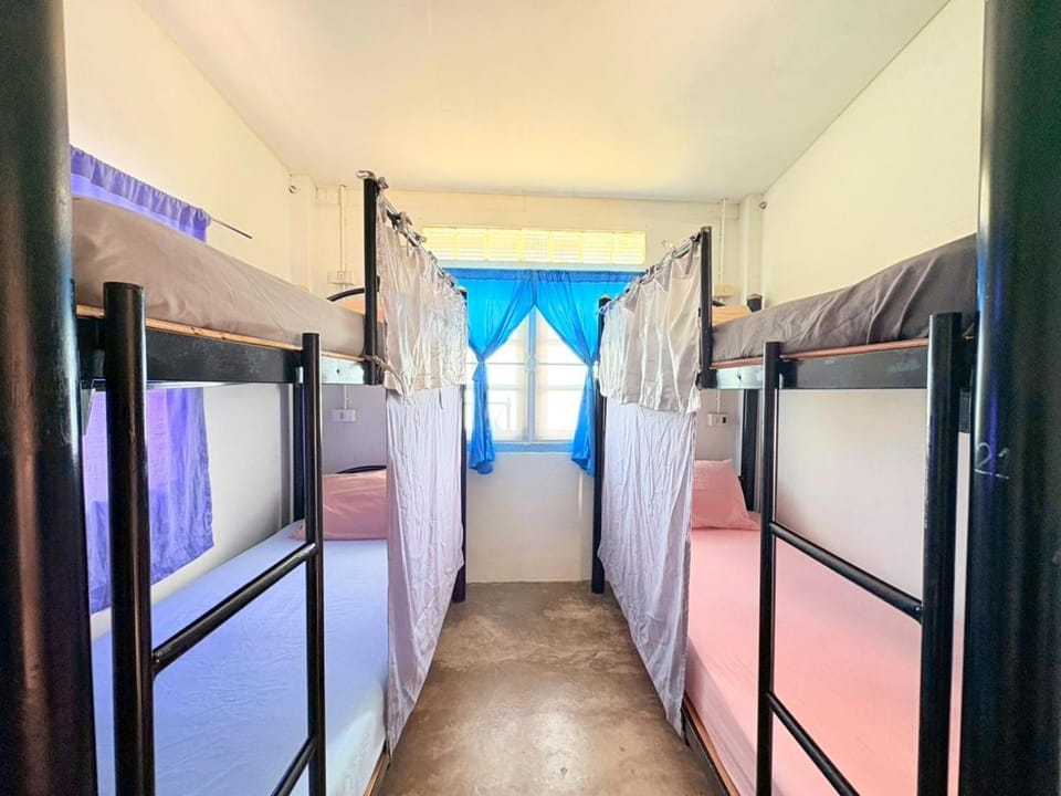 Bed, Photo of the whole room, Bedroom, bunk bed