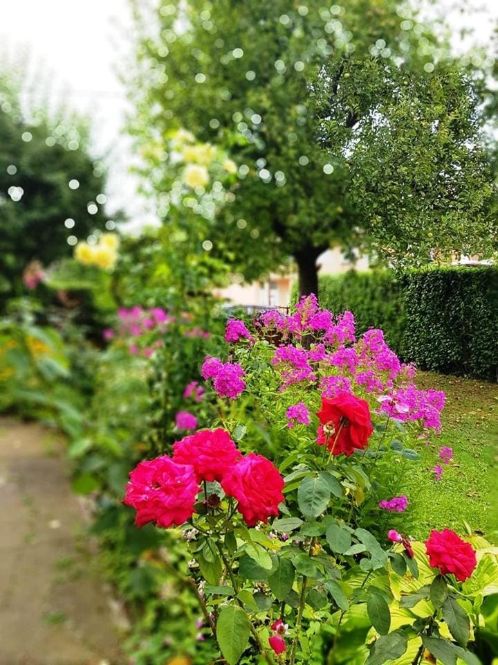 Garden, Garden view