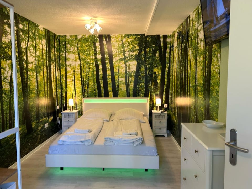 Panoramic Hohegeiß App 646 u 647 mit WLan Apartment in Braunlage