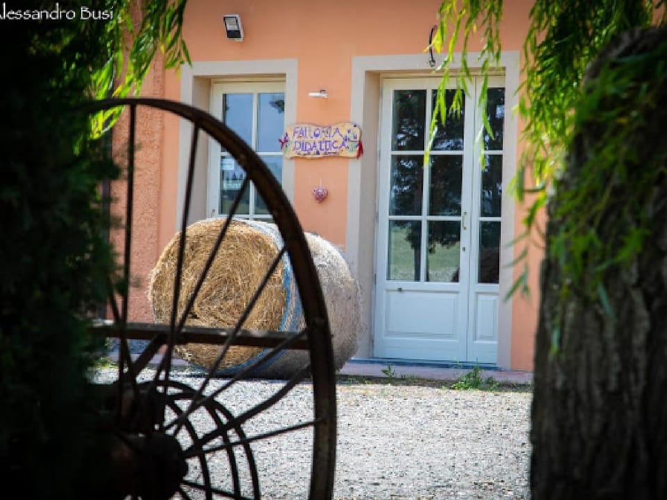 Patio, Facade/entrance