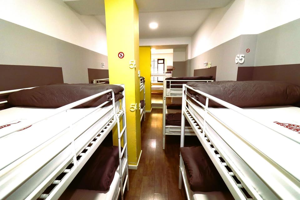 Bed, Photo of the whole room, Bedroom, bunk bed
