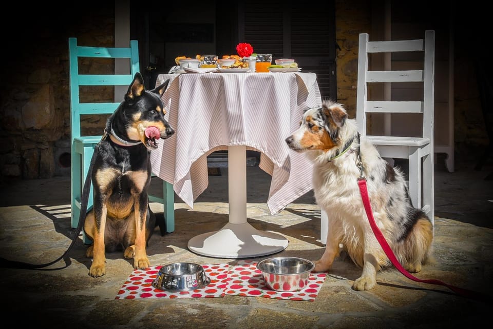 Al Podere Bed and Breakfast in Liguria