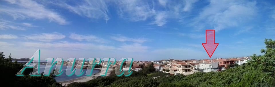Bird's eye view, On site, City view, Sea view