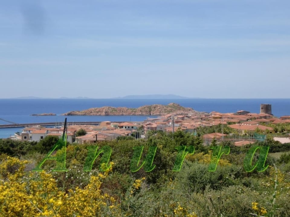 Neighbourhood, Natural landscape, Summer, Fishing, Horse-riding, Snorkeling, Beach, Tennis court, Windsurfing, Canoeing, Hiking, Cycling, Diving, On site, City view, Sea view, Street view