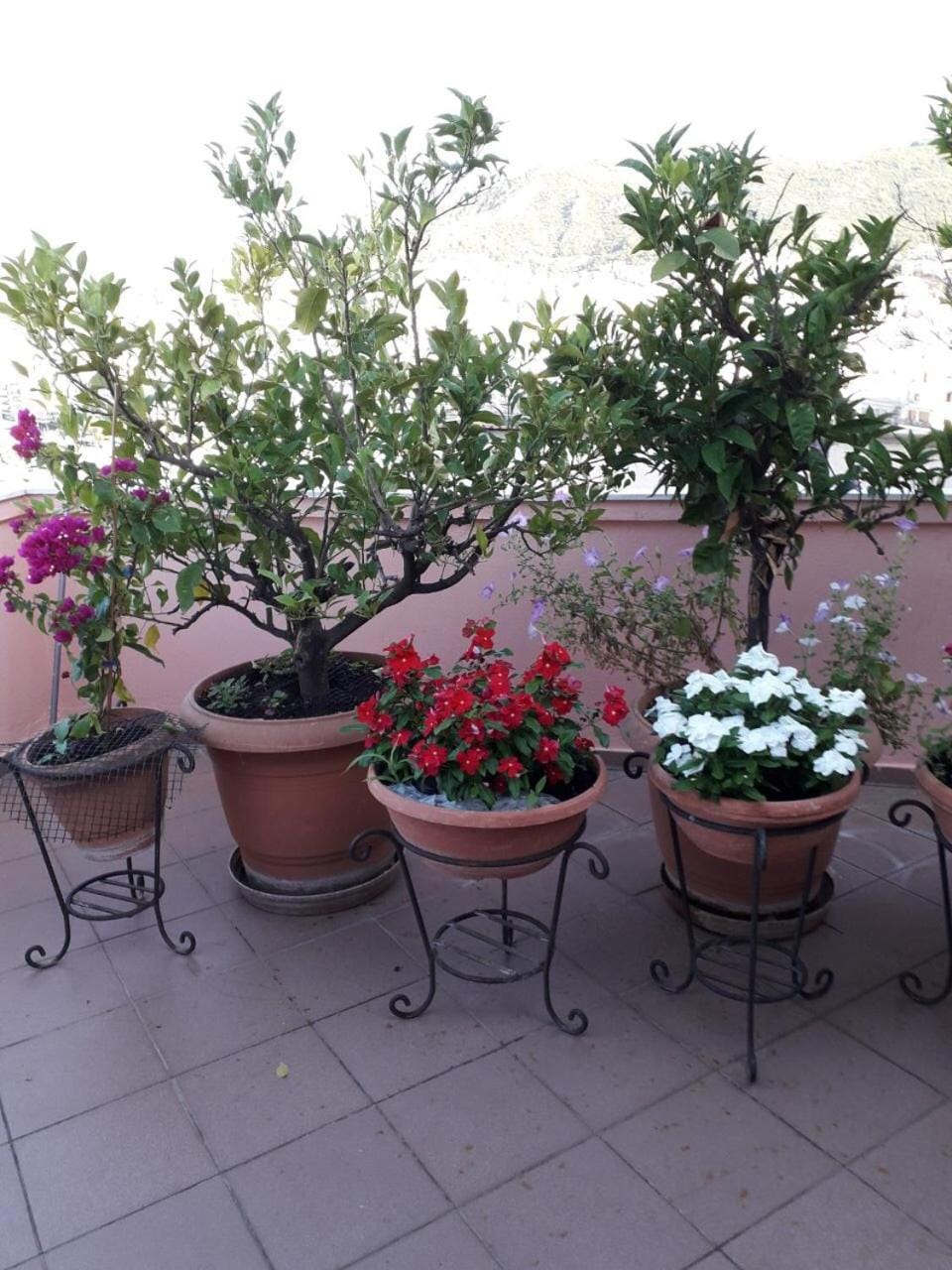 Balcony/Terrace