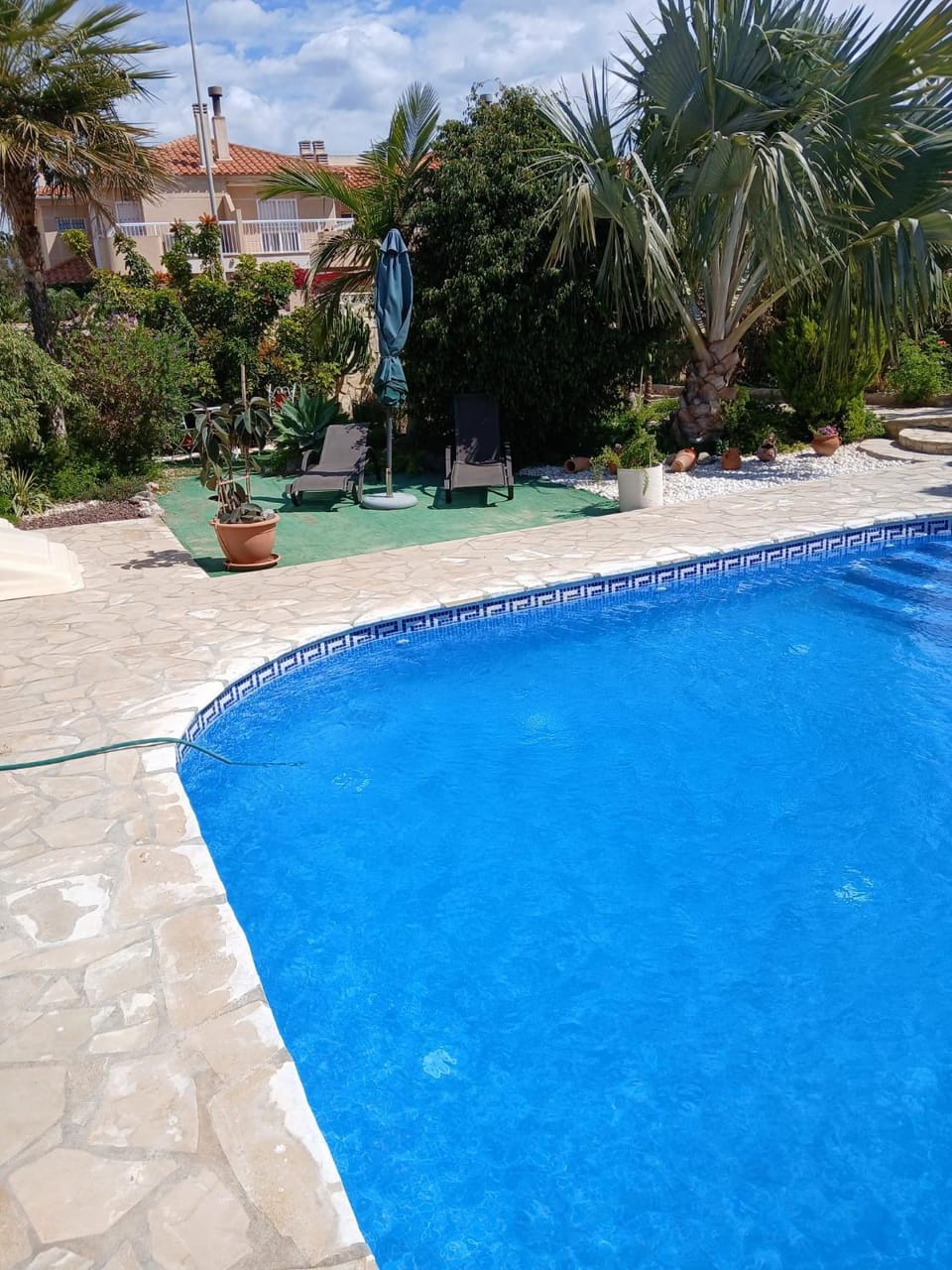 Day, Garden, Garden view, Pool view, Swimming pool, sunbed