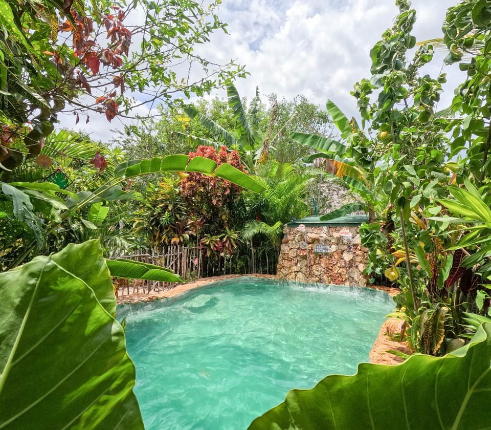 GuaiGüí Bayahibe Farm Stay in Bayahibe