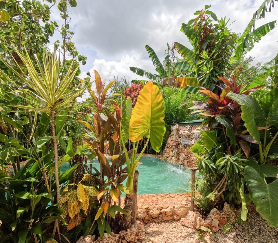 GuaiGüí Bayahibe Farm Stay in Bayahibe