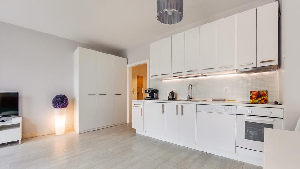 TV and multimedia, Kitchen or kitchenette, dishwasher, stove